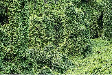 《功夫五神》登陆Steam 像素风古典动作新游